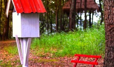 This Free Mini-Library of Manipur is Loaded with Cuteness