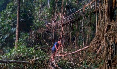 Mission Possible: Meghalaya Boy on Village Trails to Promote and Build ‘Living Architectures’