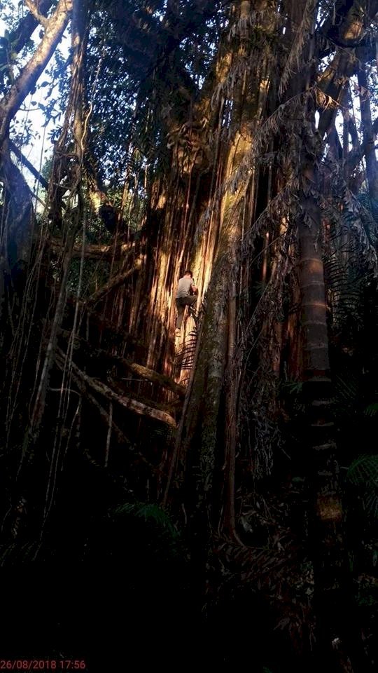 Mission Possible: Meghalaya Boy on Village Trails to Promote and Build ‘Living Architectures’